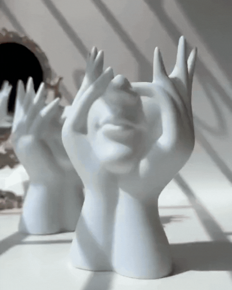 Aesthetic Face Vase – A Curated Piece of Art for the Elegant Home