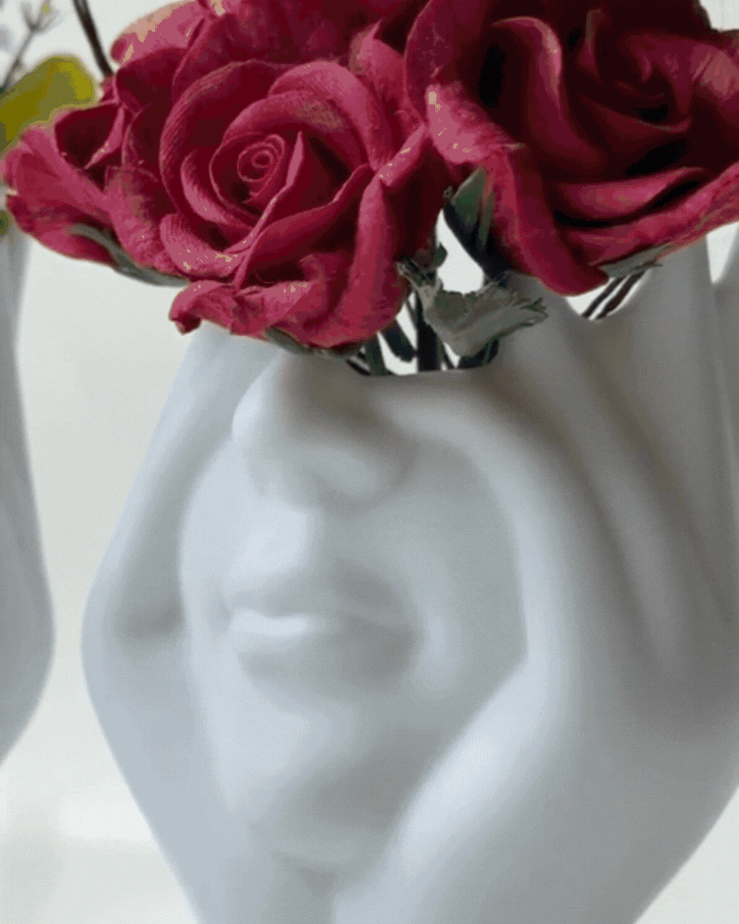 Aesthetic Face Vase – A Curated Piece of Art for the Elegant Home